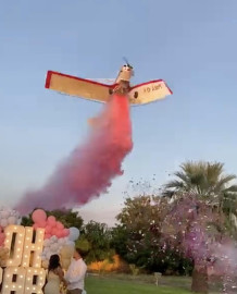 Cae avioneta en revelación de género de bebé